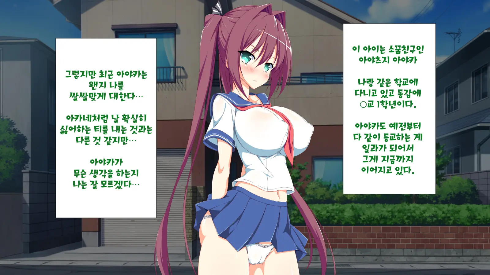 Inran Virus | 음란 바이러스